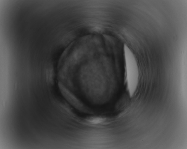 X0000092030223200710041107