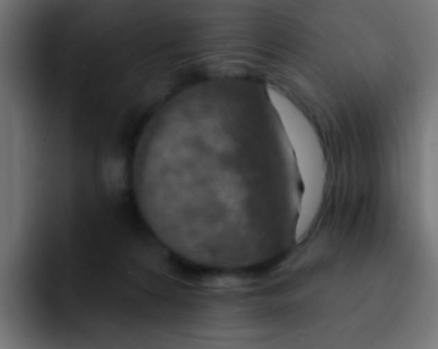 X0000092030224200710041107