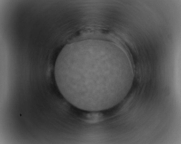 X0000092030225200710041107