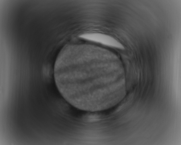 X0000092030228200710041107