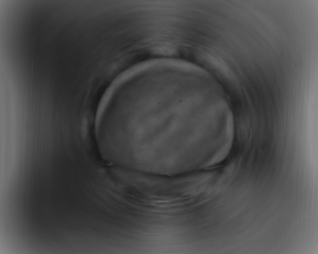 X0000092030229200710041107