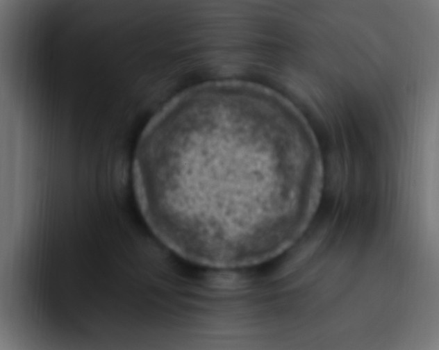 X0000092030230200710041107