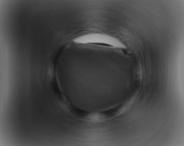 X0000092030231200710041107