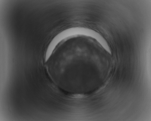 X0000092030233200710041107