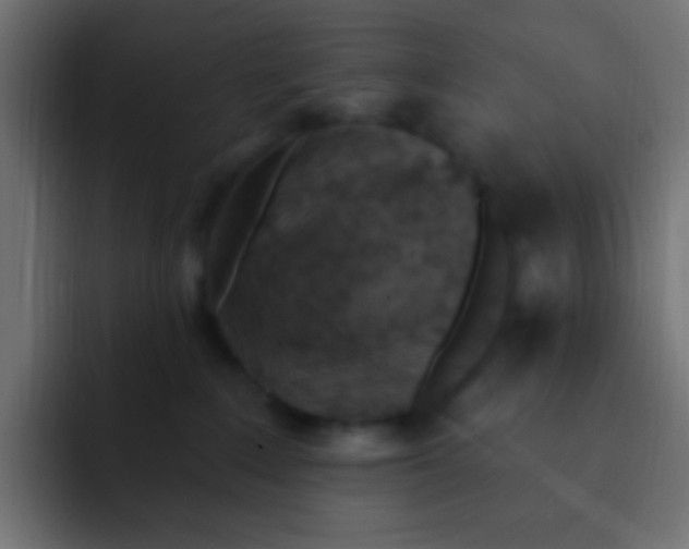 X0000092030235200710041107