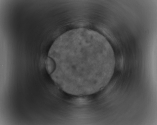 X0000092030236200710041107