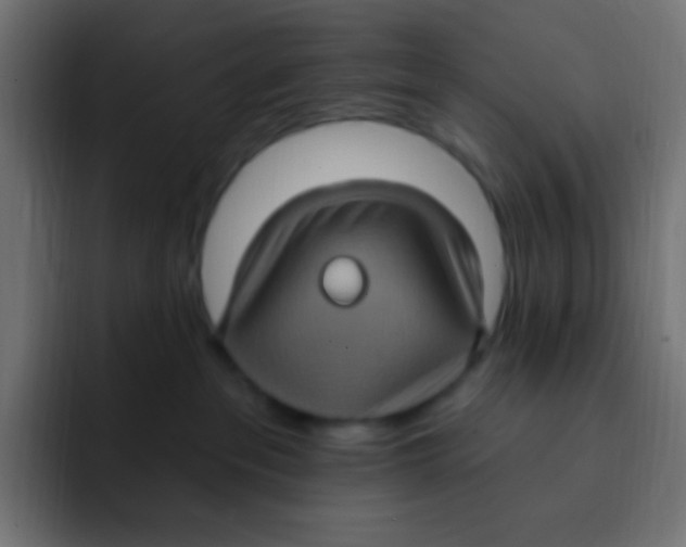 X0000092030237200710041107