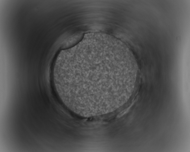 X0000092030242200710041106