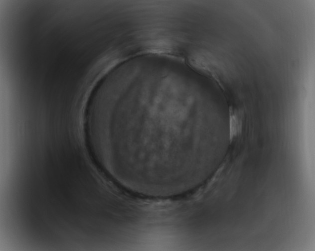 X0000092030243200710041106