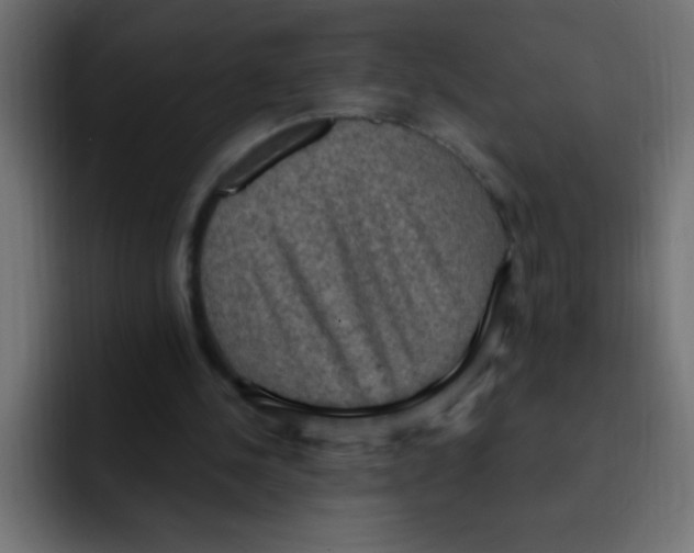 X0000092030244200710041106