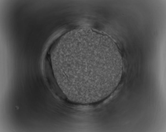 X0000092030245200710041106