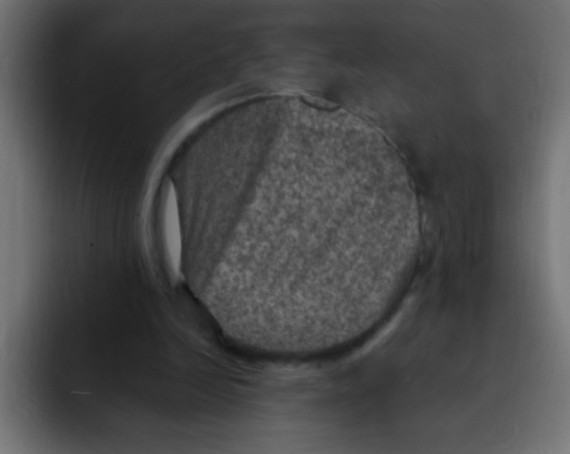 X0000092030246200710041106