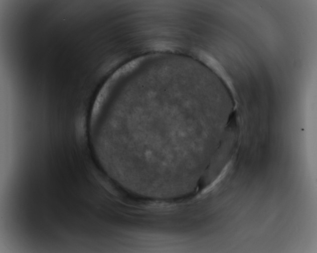 X0000092030249200710041106