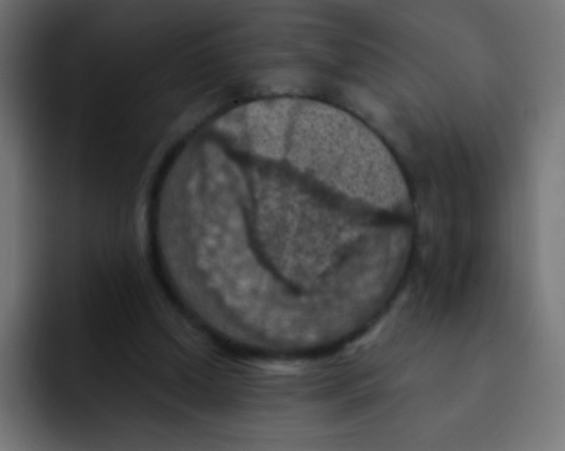 X0000092030250200710041106