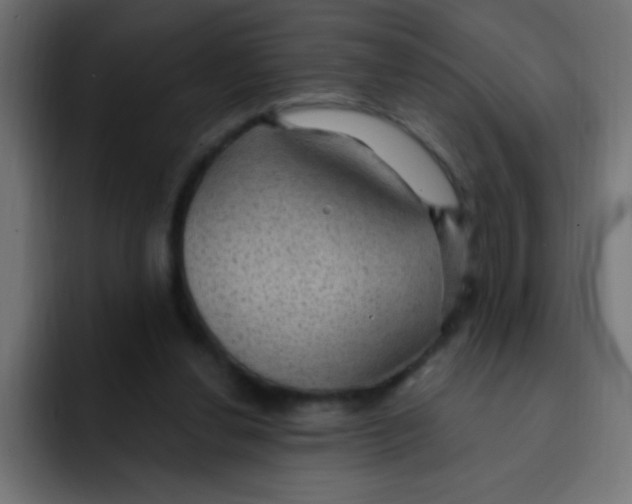 X0000092030252200710041106