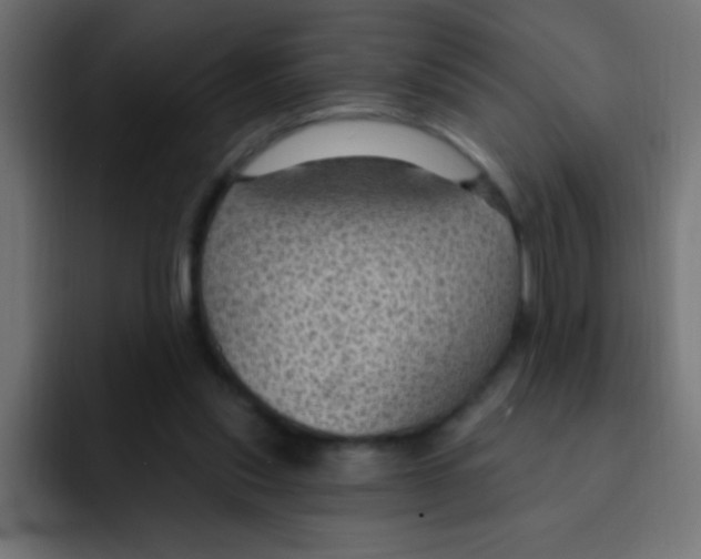 X0000092030253200710041106