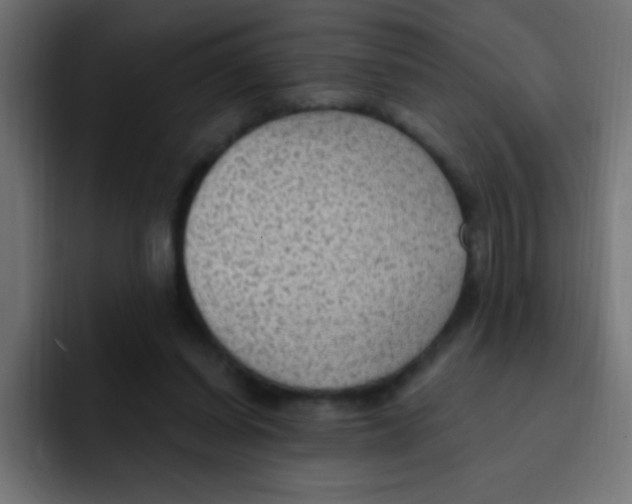 X0000092030254200710041106