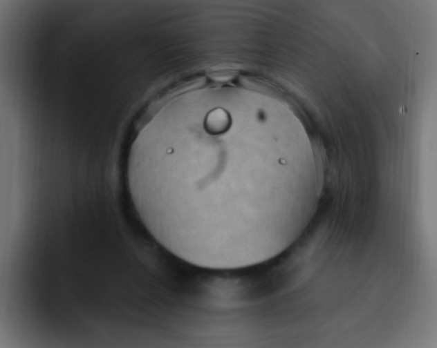 X0000092030256200710041106