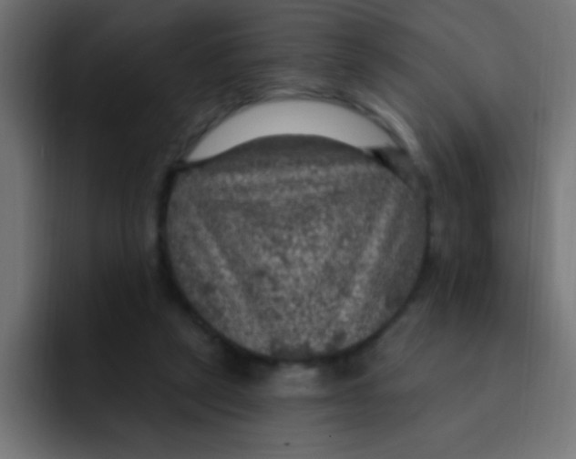 X0000092030257200710041106