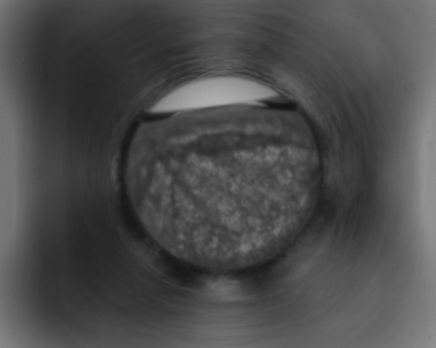 X0000092030258200710041106