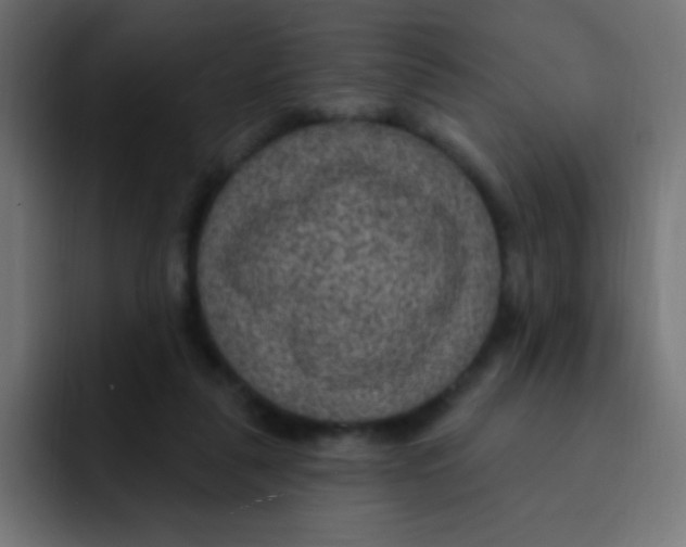 X0000092030259200710041106