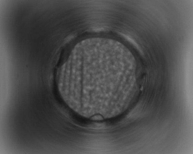 X0000092030260200710041106