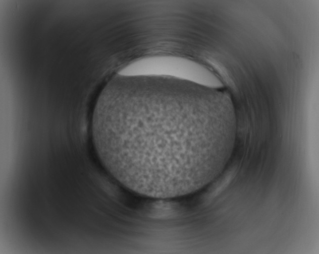 X0000092030261200710041106