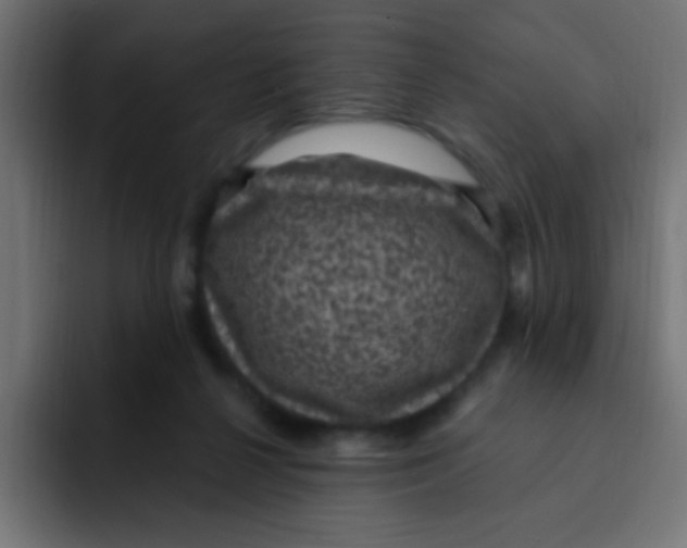 X0000092030264200710041106