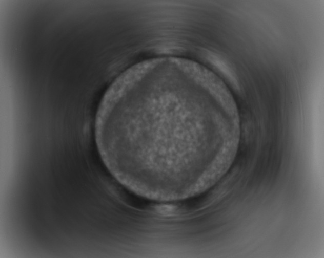 X0000092030265200710041106