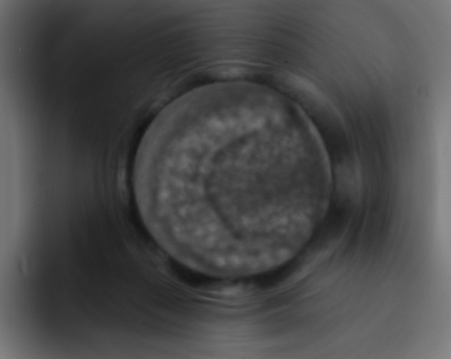 X0000092030267200710041107