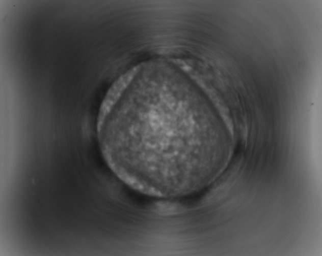 X0000092030272200710041107