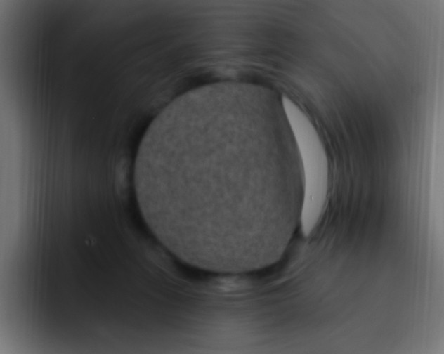 X0000092030275200710041107