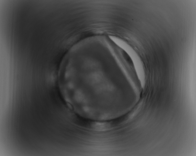 X0000092030277200710041107