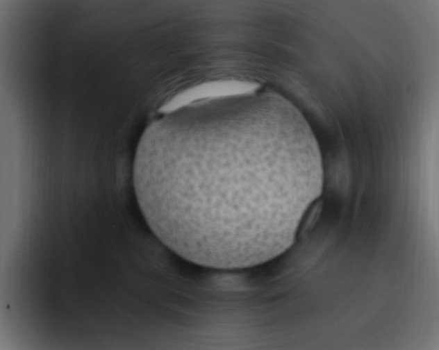 X0000092030283200710041107