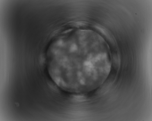 X0000092030284200710041107