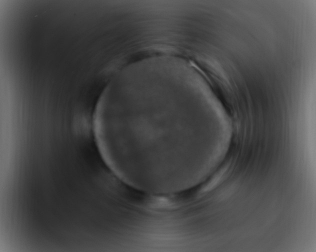 X0000092030285200710041107