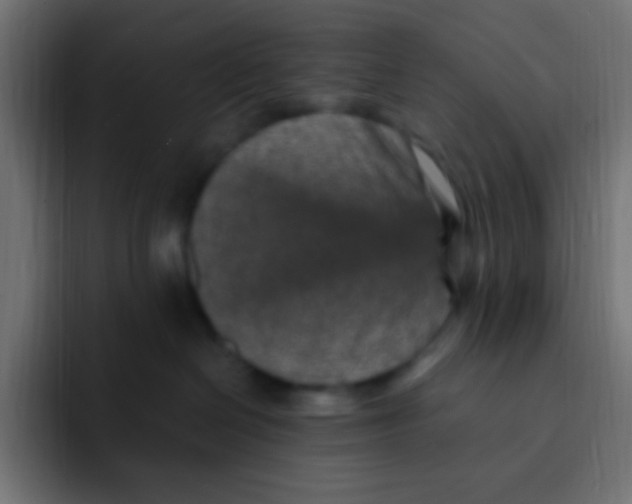 X0000092030286200710041107