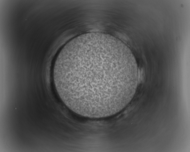 X0000092030291200710041106