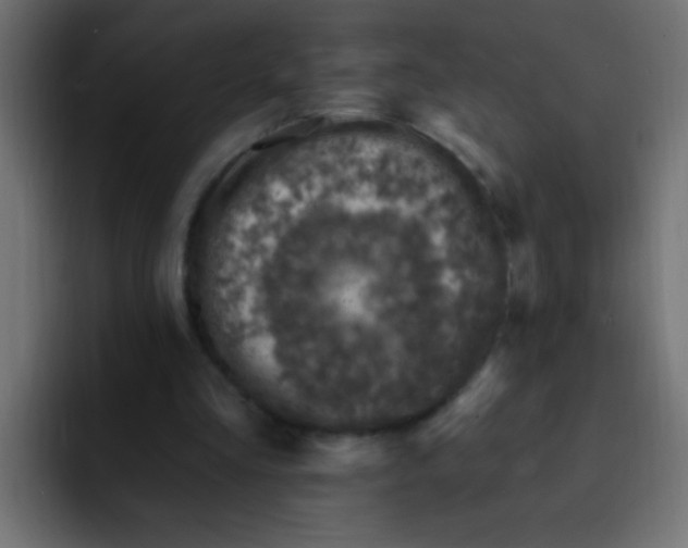 X0000092030293200710041106