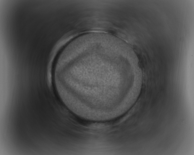 X0000092030294200710041106