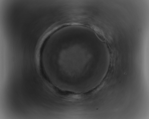 X0000092030295200710041106