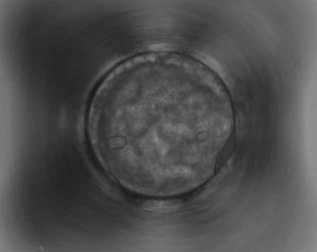 X0000092030297200710041106