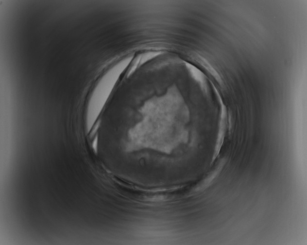 X0000092030301200710041106