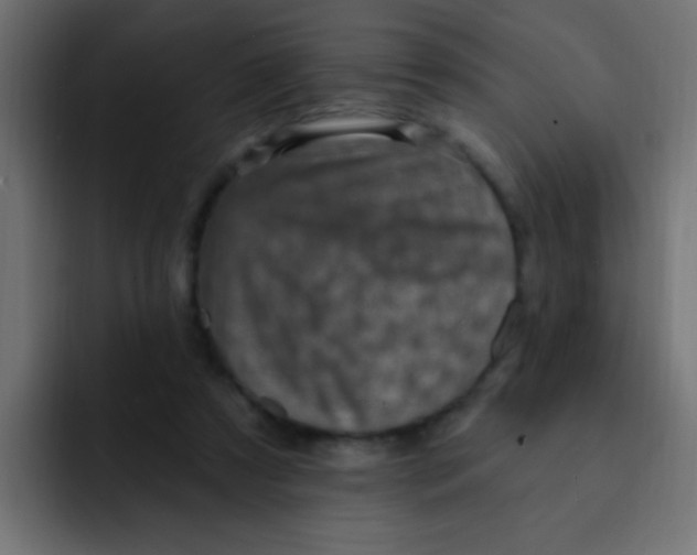 X0000092030305200710041106