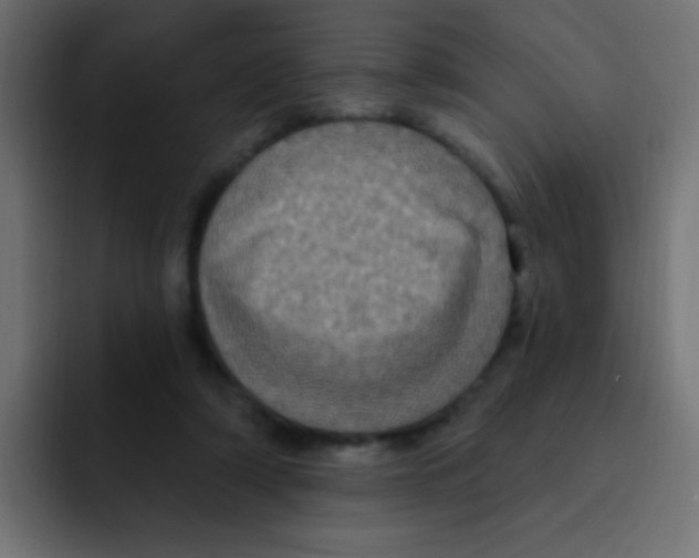 X0000092030306200710041106