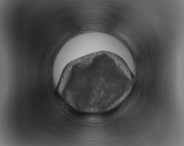 X0000092030308200710041106