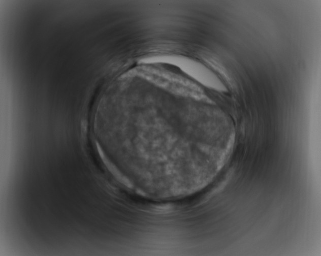 X0000092030309200710041106