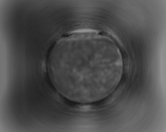 X0000092030313200710041106