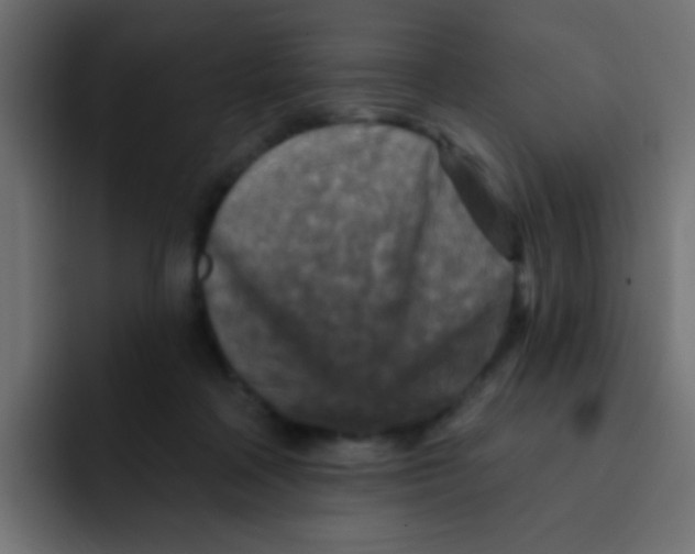 X0000092030314200710041106