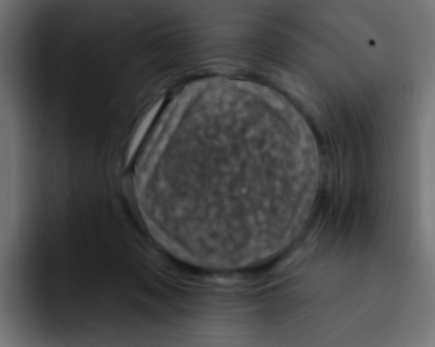 X0000092030317200710041106